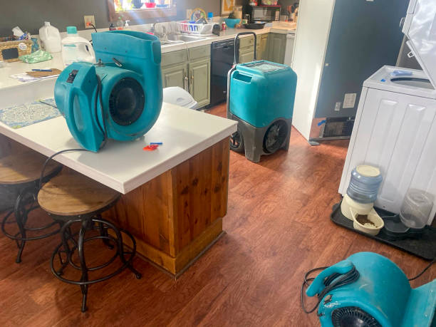 Best Flood damage cleanup  in Colton, CA