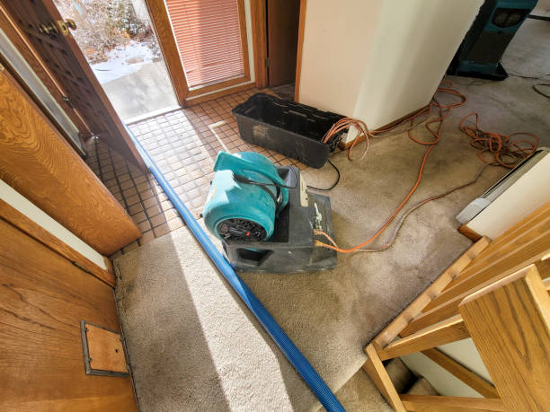  Colton, CA Water damage restoration Pros