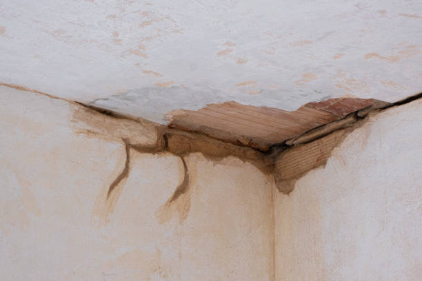 Best Flood restoration services  in Colton, CA