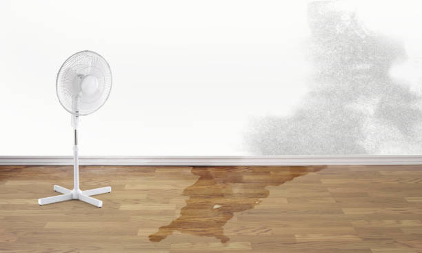 Best Fire Damage Restoration  in Colton, CA