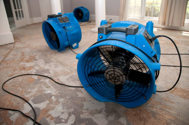 Best Water damage restoration cost  in Colton, CA