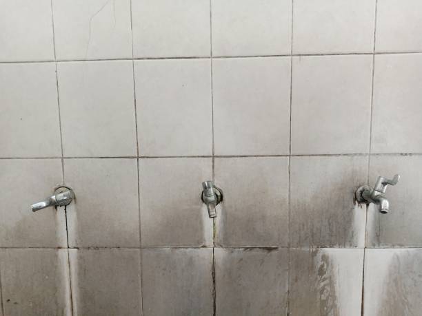 Best Water damage restoration near me  in Colton, CA