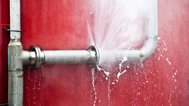 Best Carpet water damage restoration  in Colton, CA