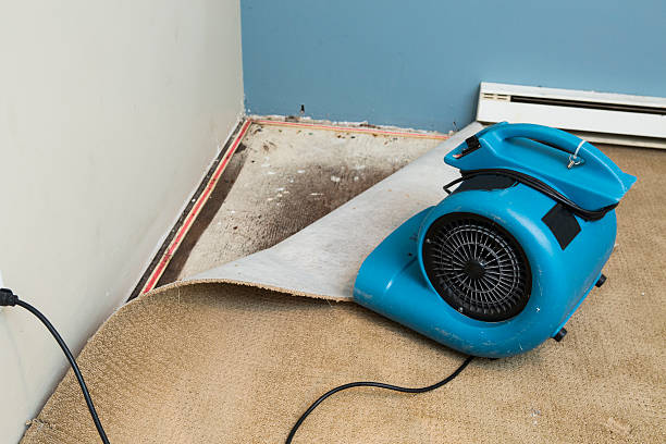 Best Water damage cleanup near me  in Colton, CA